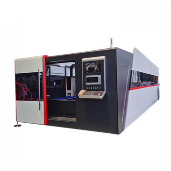 Machine de découpe laser à fibre IPG 1000W pour couper le laser Nanjing Speedy en acier inoxydable de 4 mm